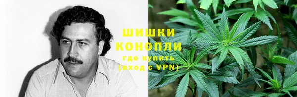 прущие крисы Беломорск