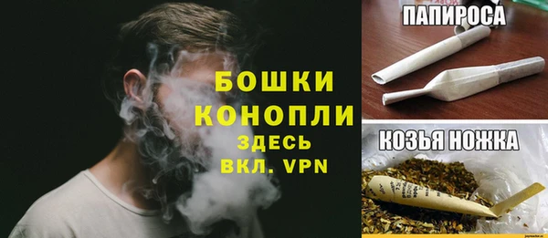 сатива Белоозёрский