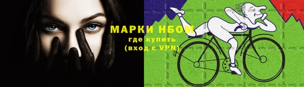 сатива Белоозёрский