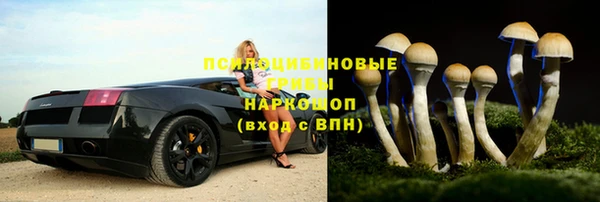 сатива Белоозёрский