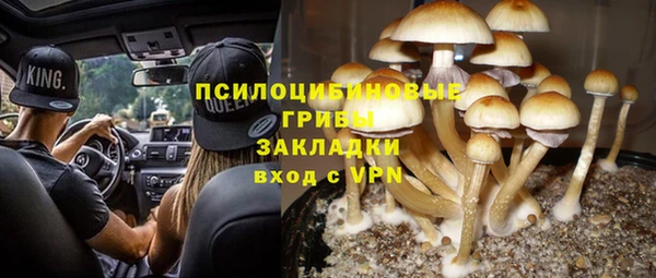 сатива Белоозёрский